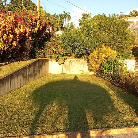 Charmant Appartement Verdoyant Le Morne-Vert Exteriör bild